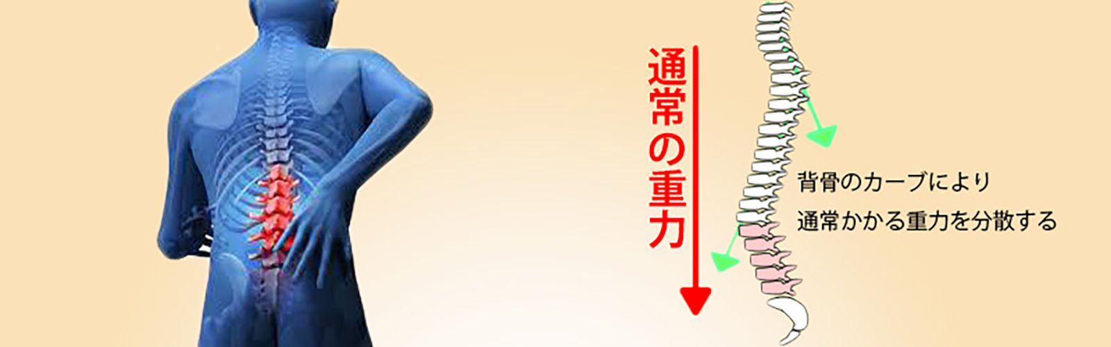 あなたの腰痛はどんなところに痛み・シビレがでますか？